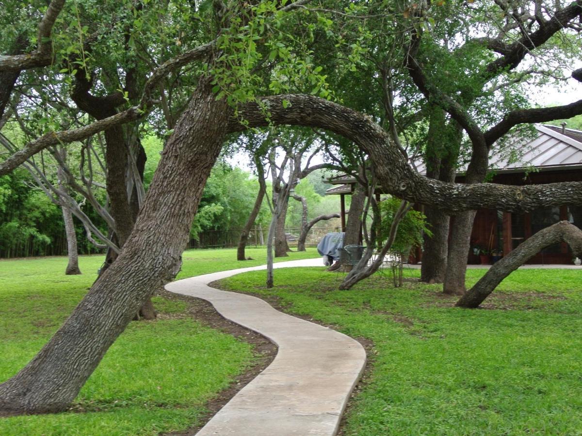 Live Oaks Bed And Breakfast Uvalde Luaran gambar