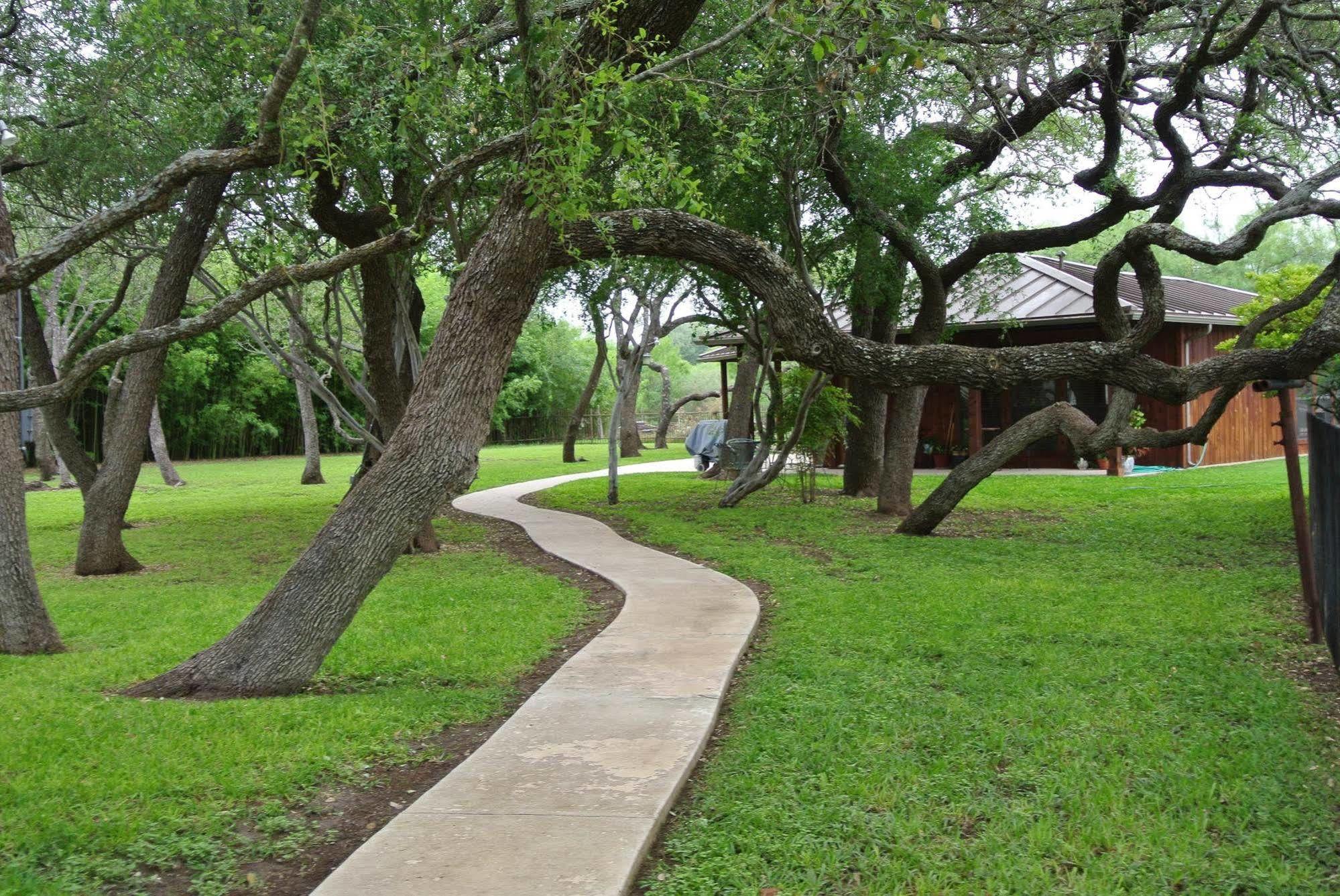 Live Oaks Bed And Breakfast Uvalde Luaran gambar